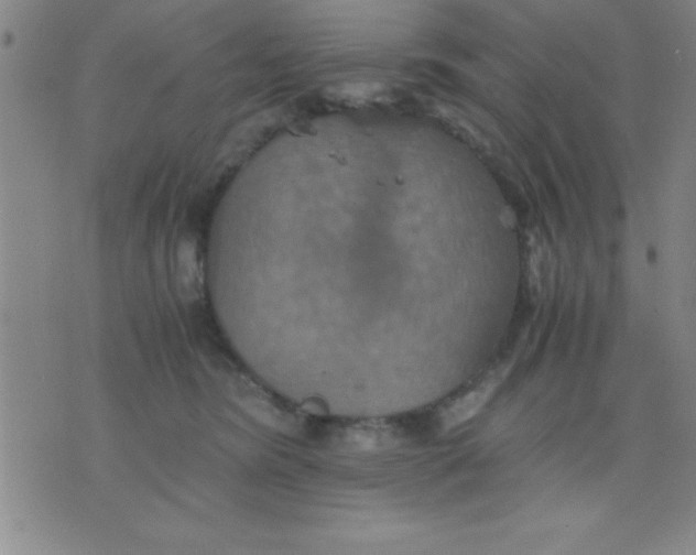 X0000075810420200610061736