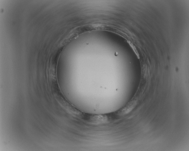 X0000075810421200610061736