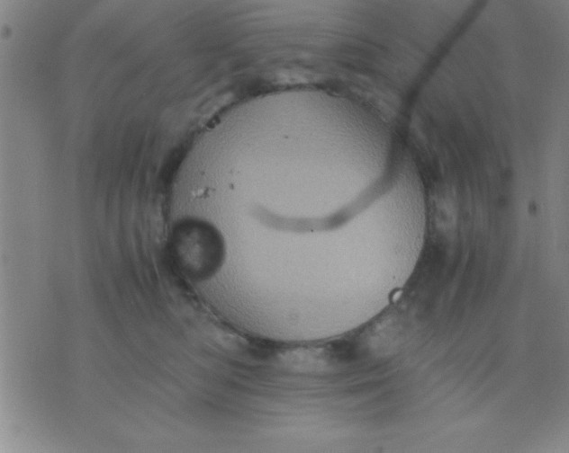 X0000075810422200610061736