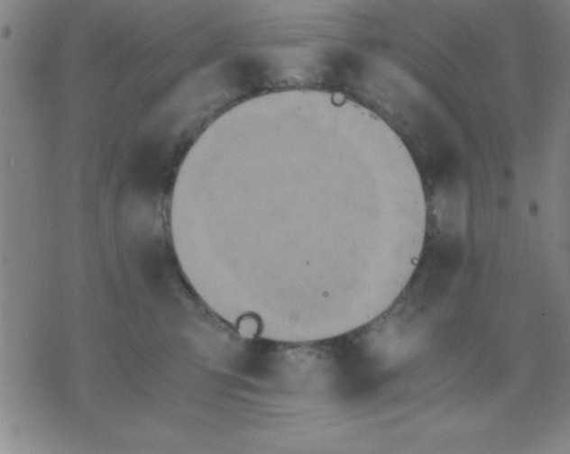 X0000075810423200610061736