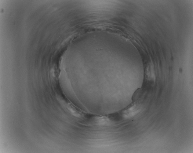 X0000075810424200610061736