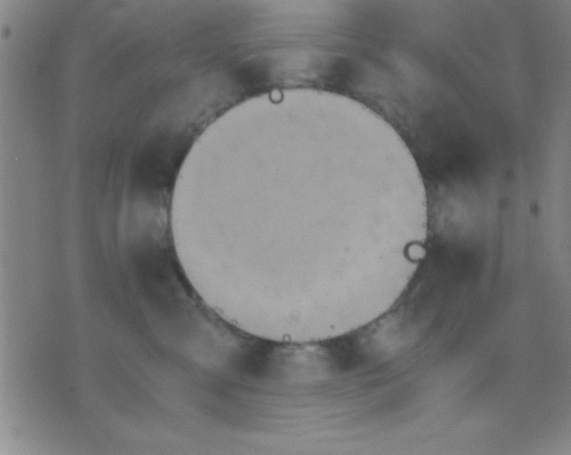 X0000075810427200610061736