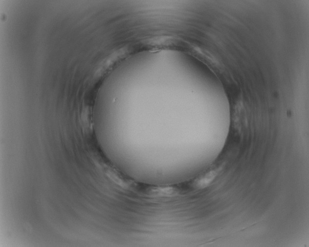 X0000075810428200610061736