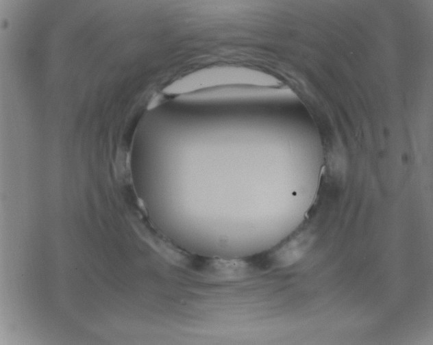 X0000075810429200610061736