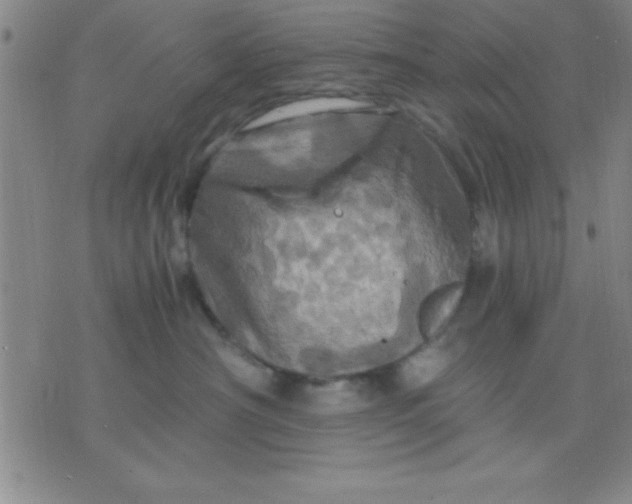 X0000075810430200610061736