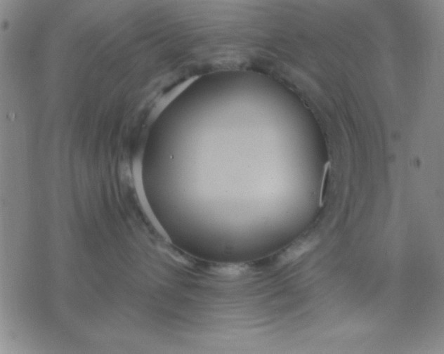 X0000075810432200610061736