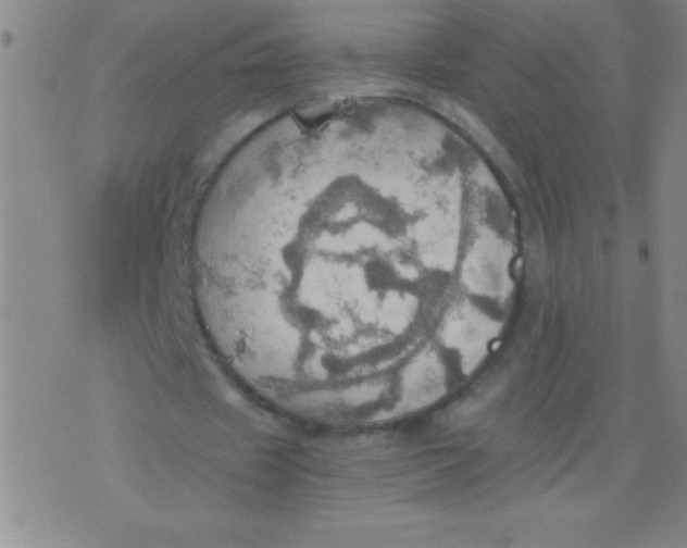 X0000075810433200610061735