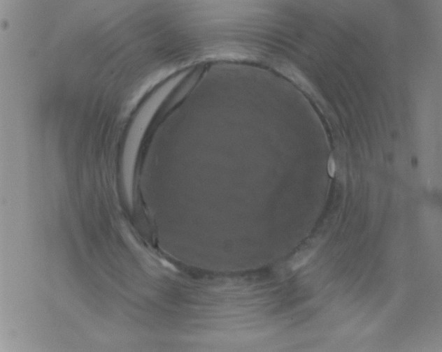 X0000075810434200610061736