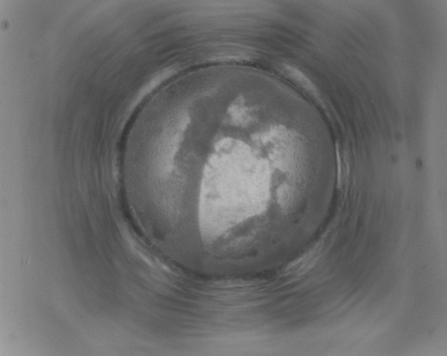 X0000075810435200610061736