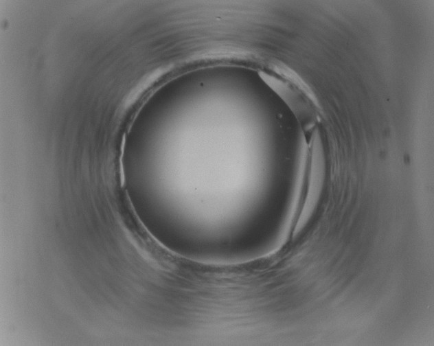 X0000075810436200610061736