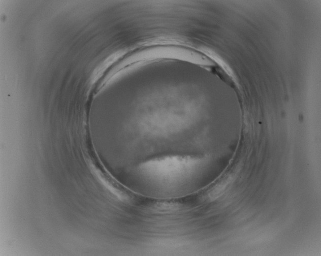 X0000075810437200610061736