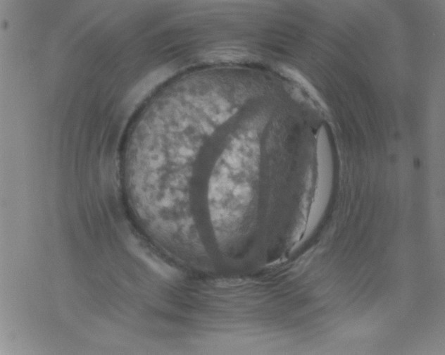 X0000075810439200610061736