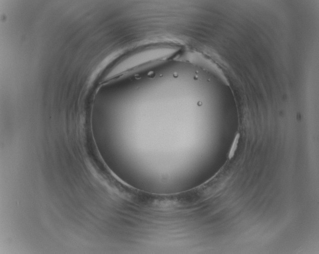 X0000075810440200610061736