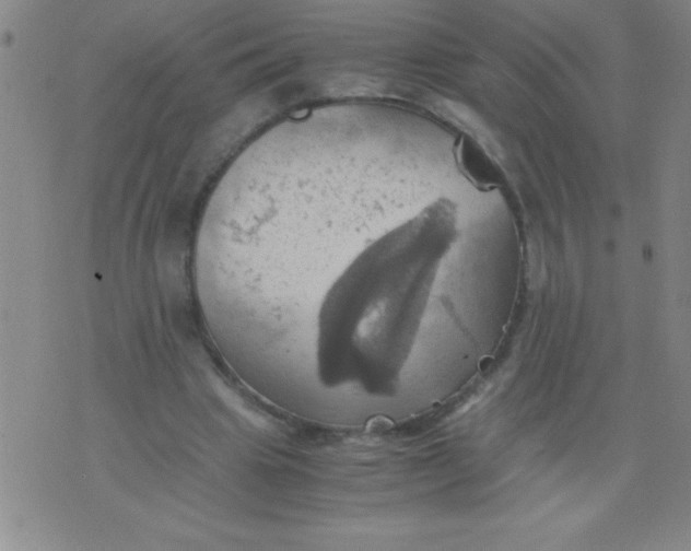 X0000075810441200610061736