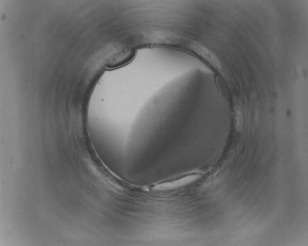 X0000075810442200610061736