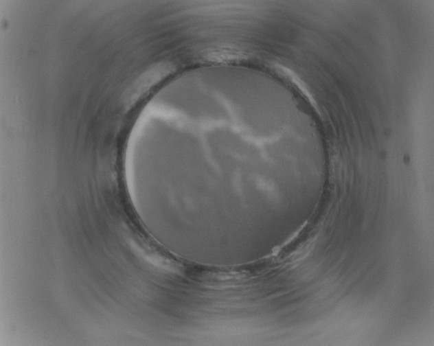 X0000075810443200610061736