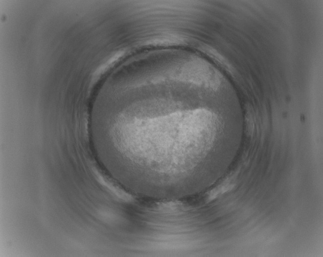 X0000075810446200610061736