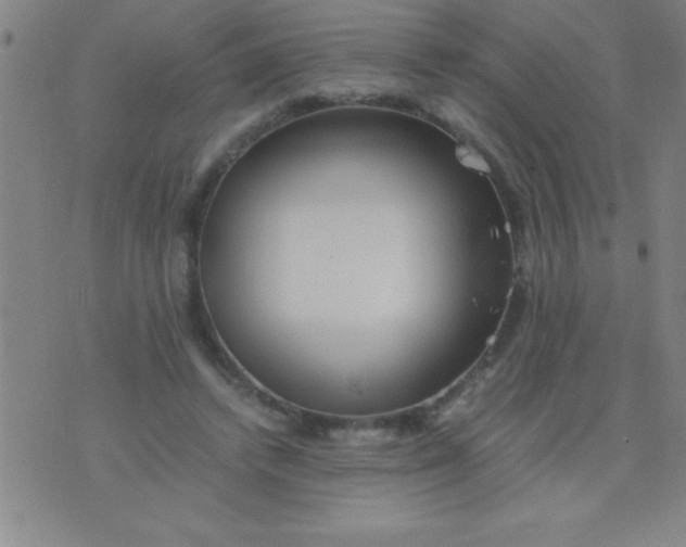 X0000075810448200610061736