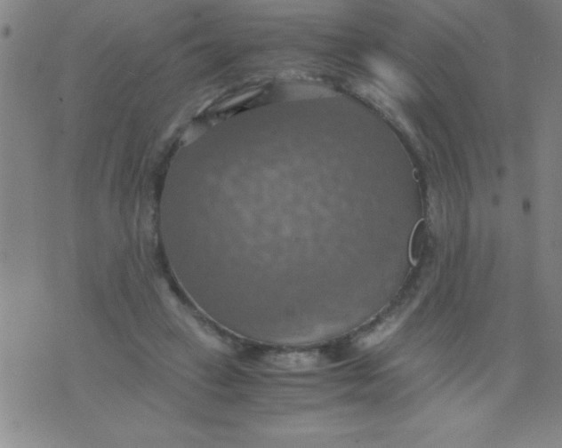 X0000075810449200610061736