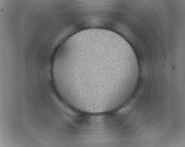 X0000075810450200610061736