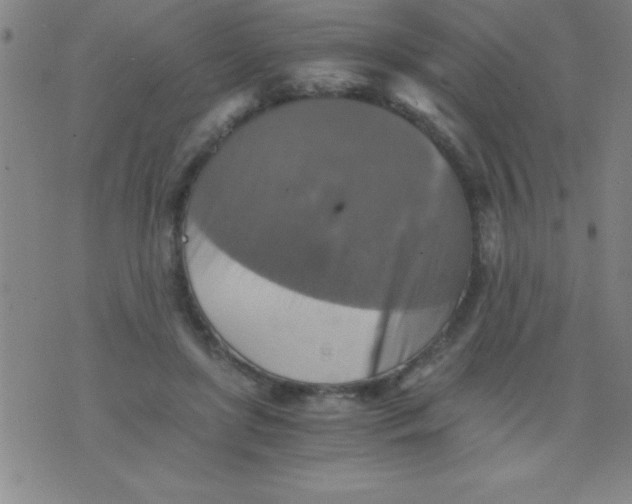 X0000075810451200610061736