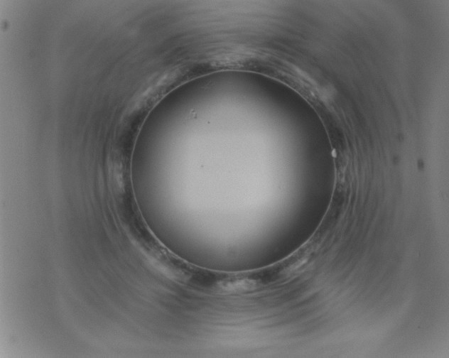 X0000075810452200610061736