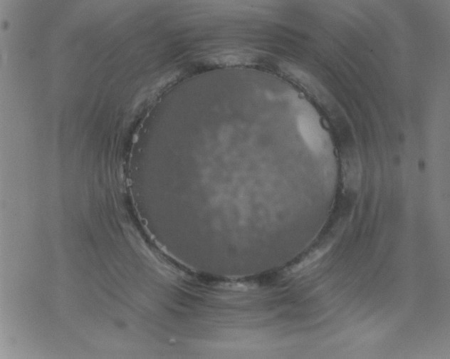 X0000075810453200610061736