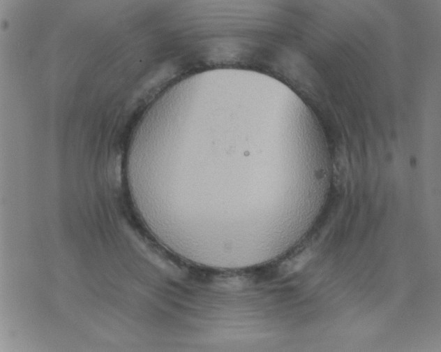 X0000075810454200610061736