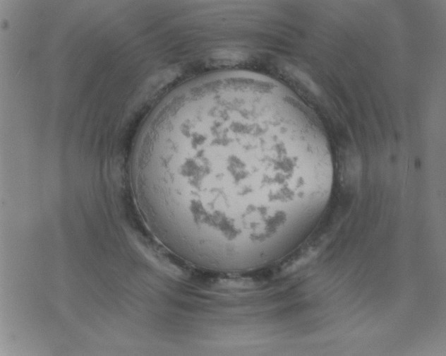 X0000075810455200610061736