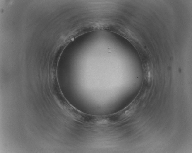 X0000075810456200610061736