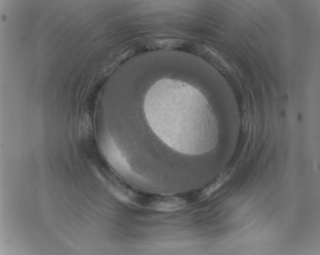 X0000075810459200610061736