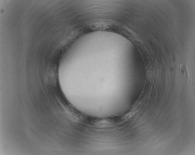 X0000075810460200610061736