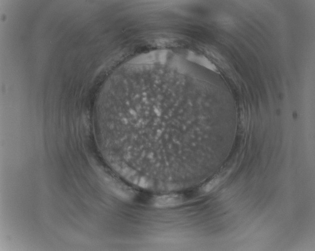 X0000075810461200610061736