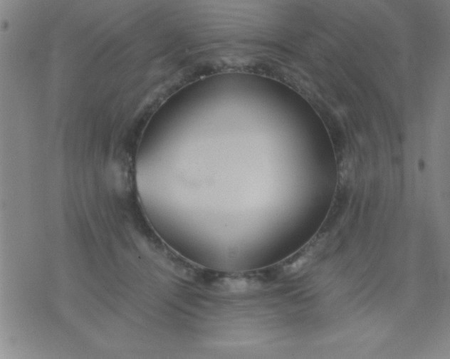 X0000075810464200610061736