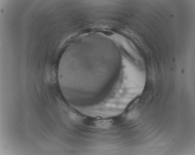 X0000075810465200610061736