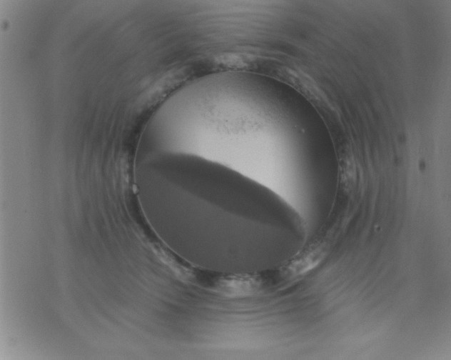 X0000075810466200610061736