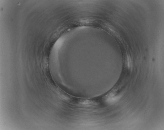 X0000075810467200610061736