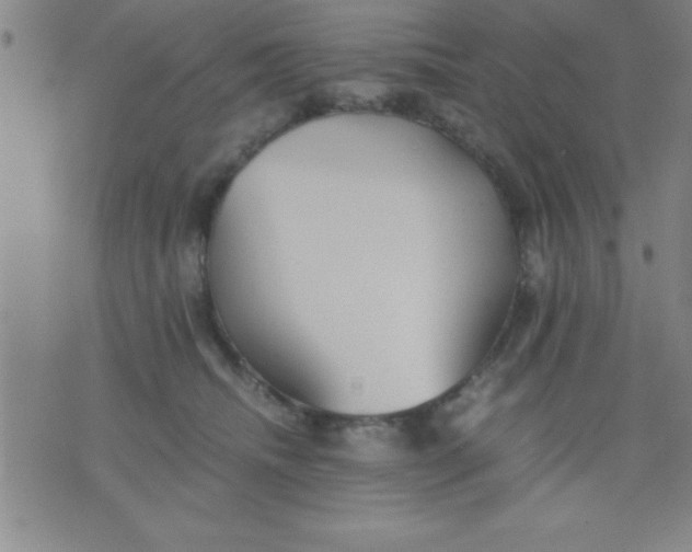 X0000075810468200610061736