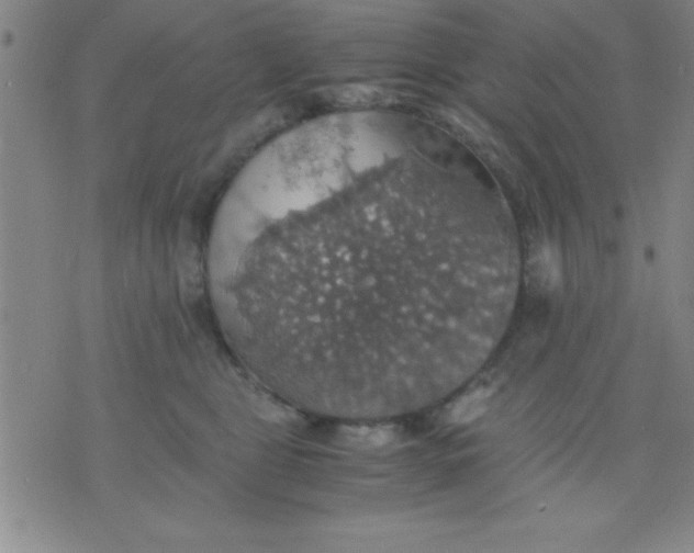 X0000075810469200610061736