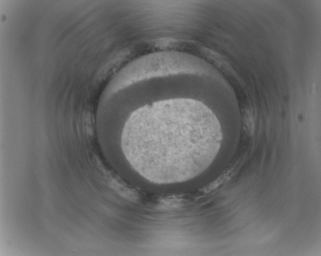 X0000075810470200610061736