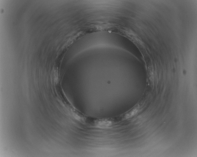 X0000075810471200610061736