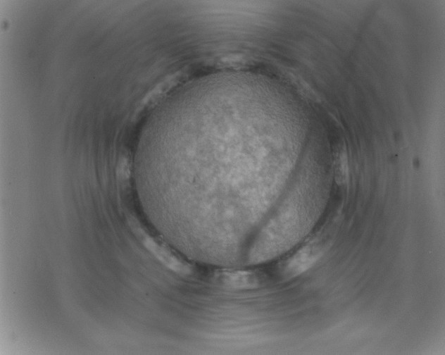 X0000075810472200610061736