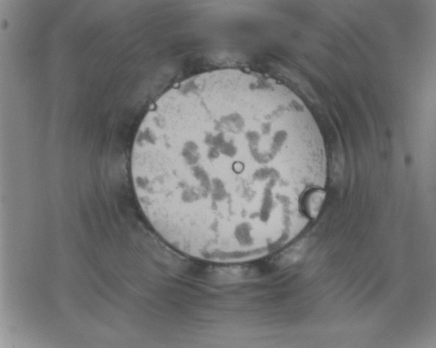 X0000075810473200610061736