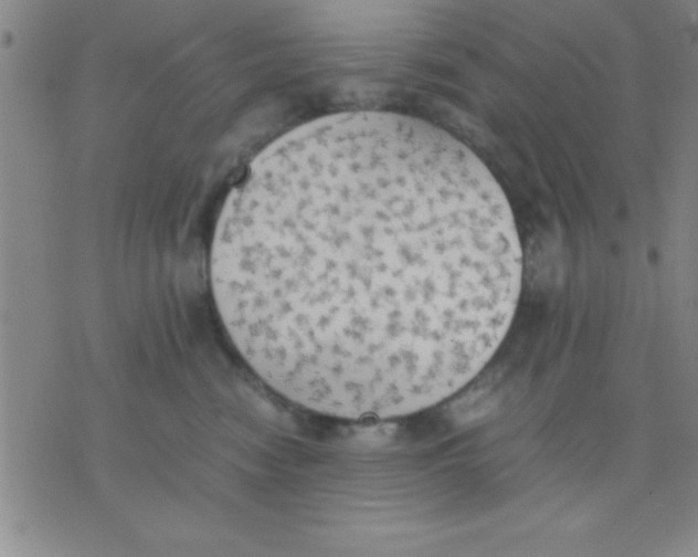 X0000075810474200610061736