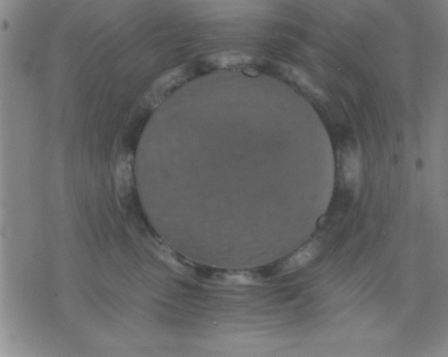 X0000075810475200610061736