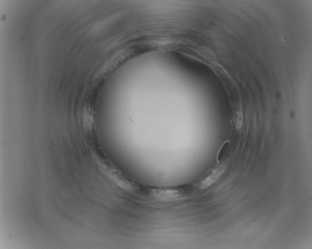 X0000075810476200610061736