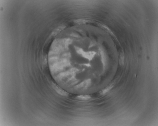 X0000075810477200610061736