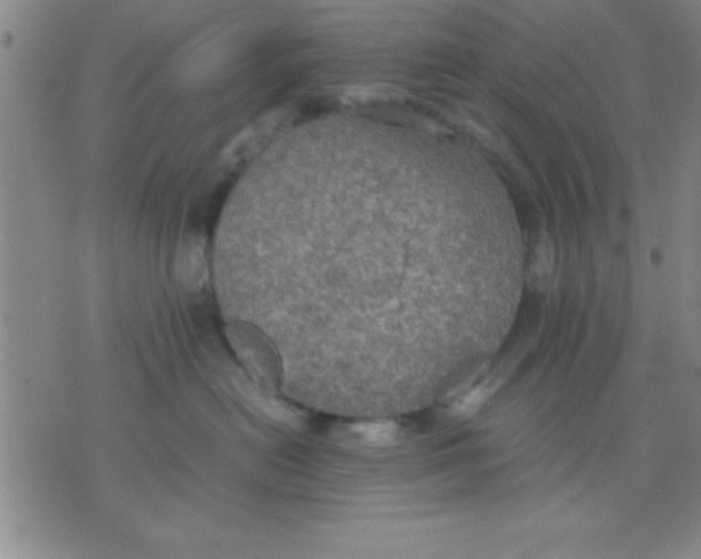 X0000075810478200610061736