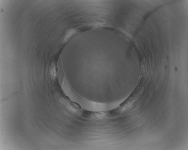 X0000075810479200610061736