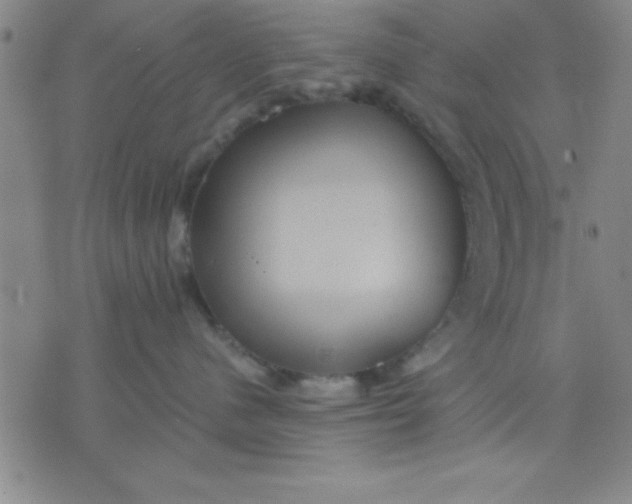 X0000075810480200610061736